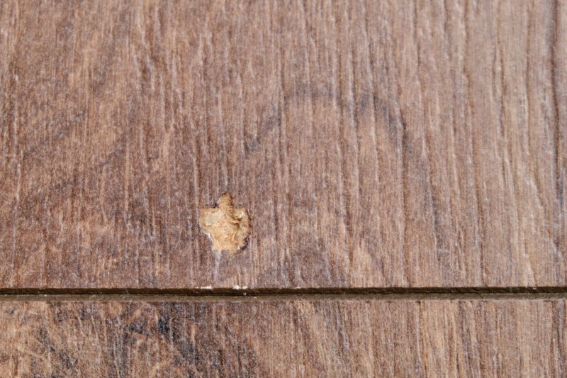 Squeaking Floor Repair