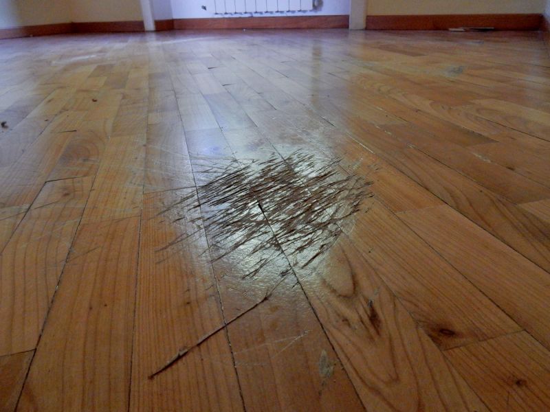 Squeaking Floor Repair