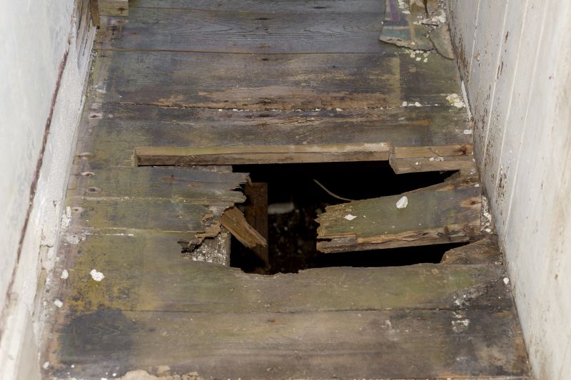 Damaged Floorboards